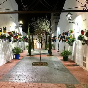 https://calle-san-miguel.1costadelsol.com